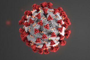 Hoe gaat De Hoven om met het coronavirus?